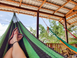 De costa a costa: Turismo economico en Estados Unidos