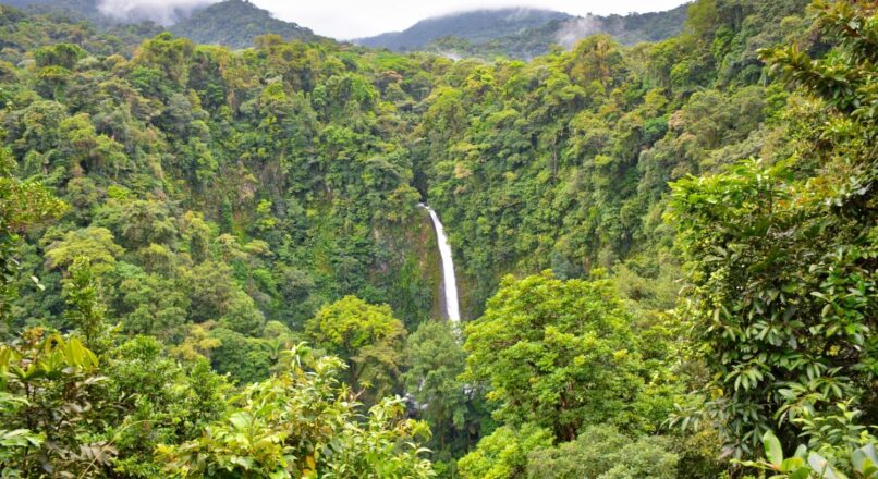 De playas a selvas: Itinerario económico por Costa Rica