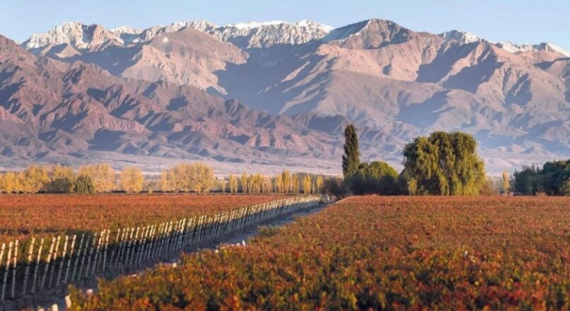 Explora las maravillas de la Ruta del Vino en Argentina