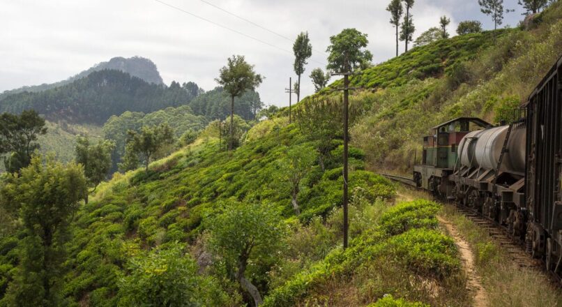 Itinerario económico por las maravillas de Sri Lanka