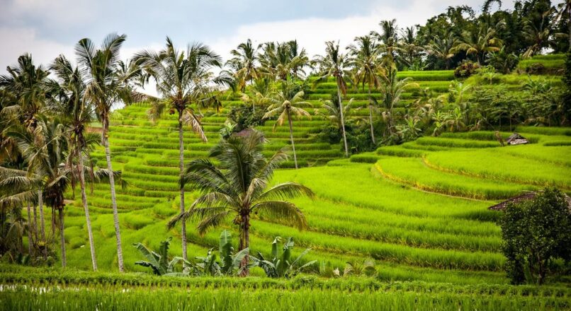 4 días en la exótica Bali por menos de $500
