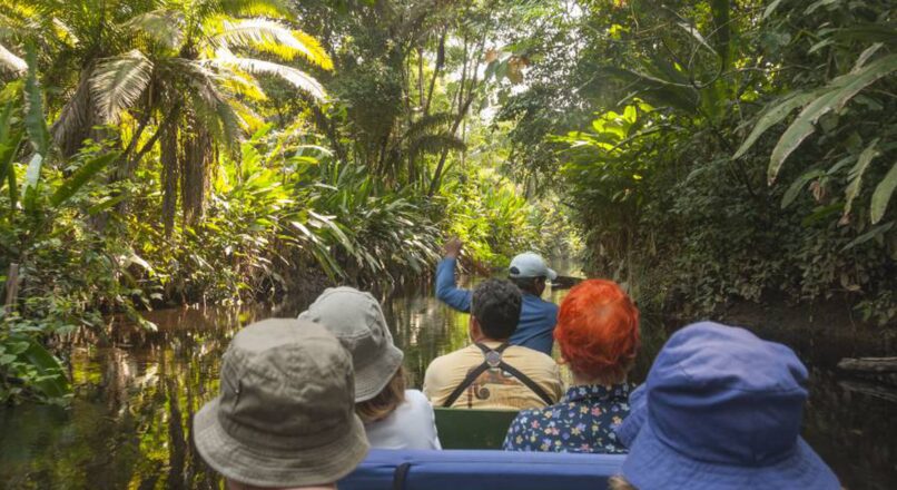 Aventuras económicas en la selva amazónica de Brasil