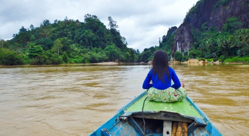 Aventúrate en la selva de Borneo: itinerario barato