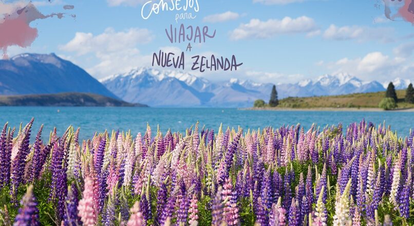 Consejos para un Viaje Barato a Nueva Zelanda