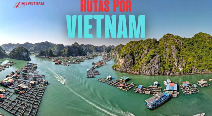 De Norte a Sur: itinerario económico por Vietnam