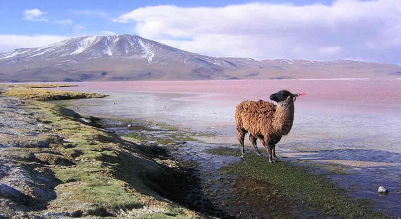 Descubre la belleza de Bolivia en un viaje low-cost