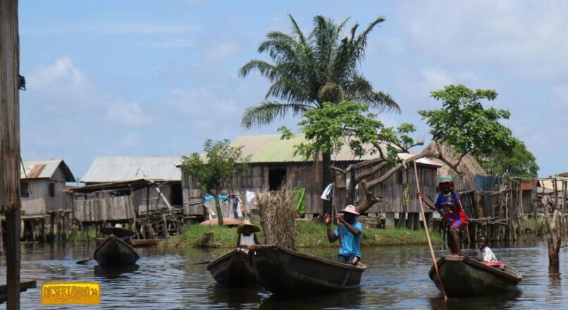 Descubre la magia y el bajo gasto de África del Este