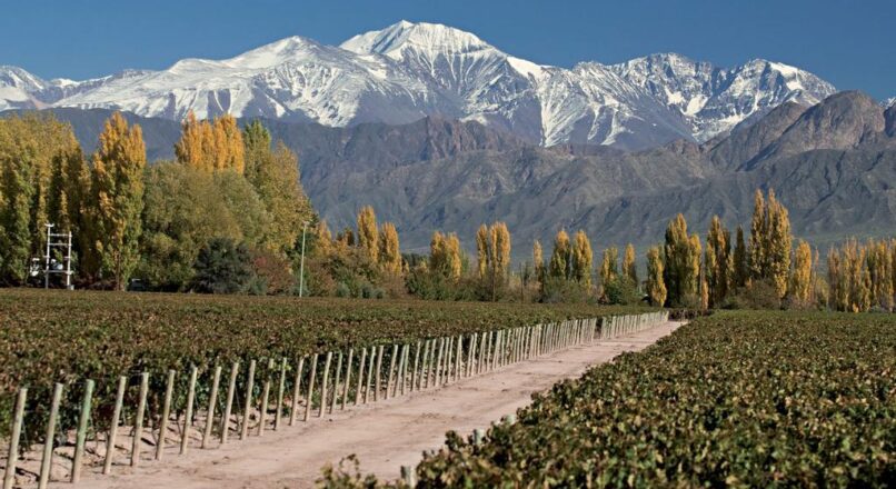 Descubre los secretos de la Ruta del Vino en Argentina