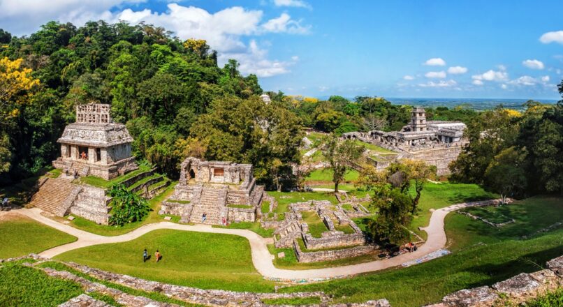 Explora la selva maya en un viaje económico a Palenque