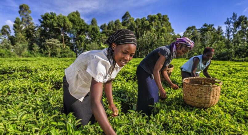 Explorando África Occidental a Bajo Costo