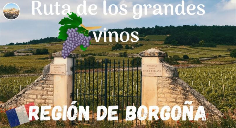 La ruta del vino por la Borgoña en Francia