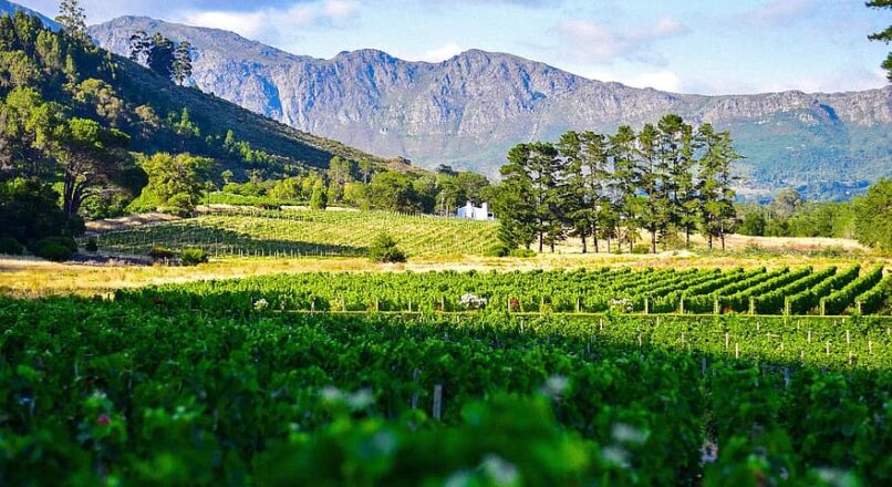 Ruta de vinos por Sudáfrica sin gastar de más
