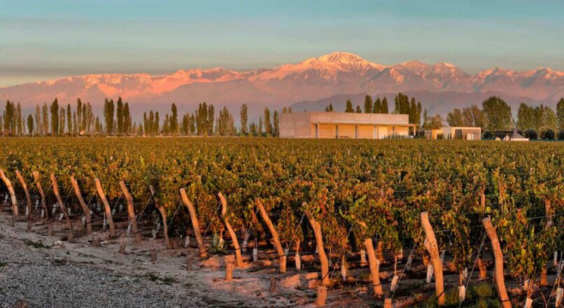 Un recorrido económico por los viñedos de Argentina