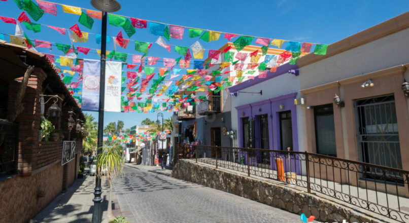 Viaja como un local por las calles de Ciudad del Cabo