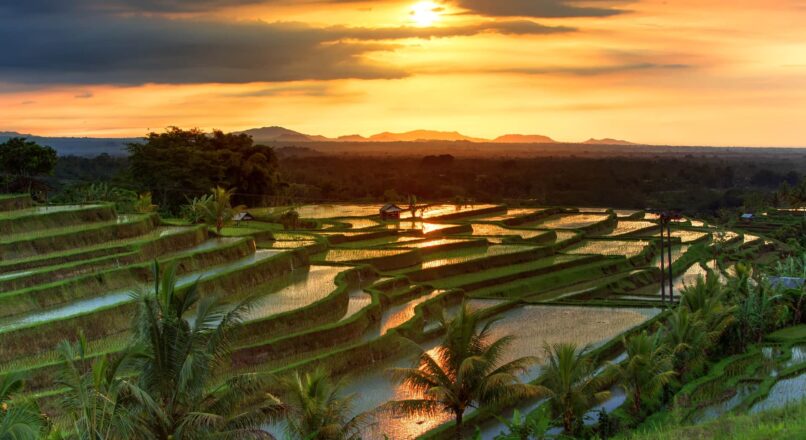 7 días en Bali sin arruinar tu cuenta bancaria