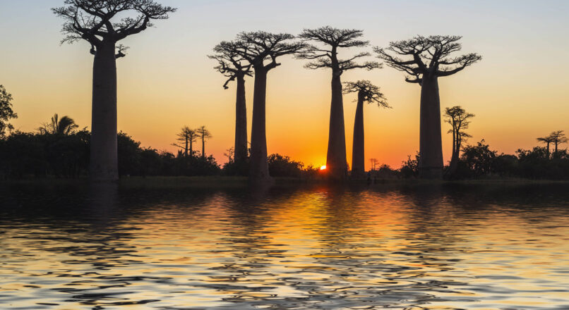 Descubre las maravillas de África a bajo costo.