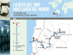 La ruta del vino en Argentina: un itinerario económico