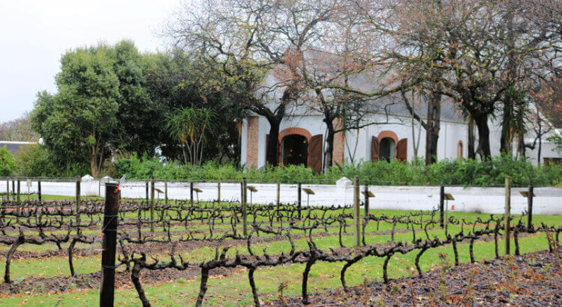 La ruta del vino en Sudáfrica: un itinerario económico