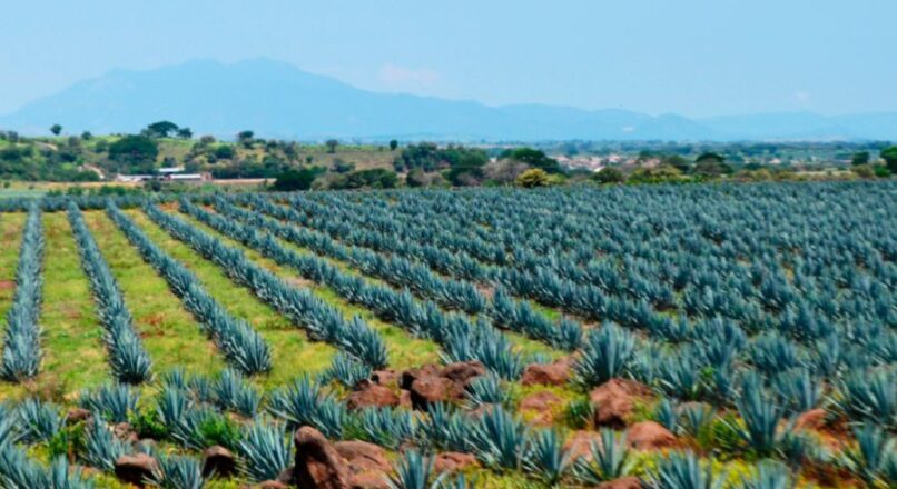 Un viaje económico por las joyas ocultas de México